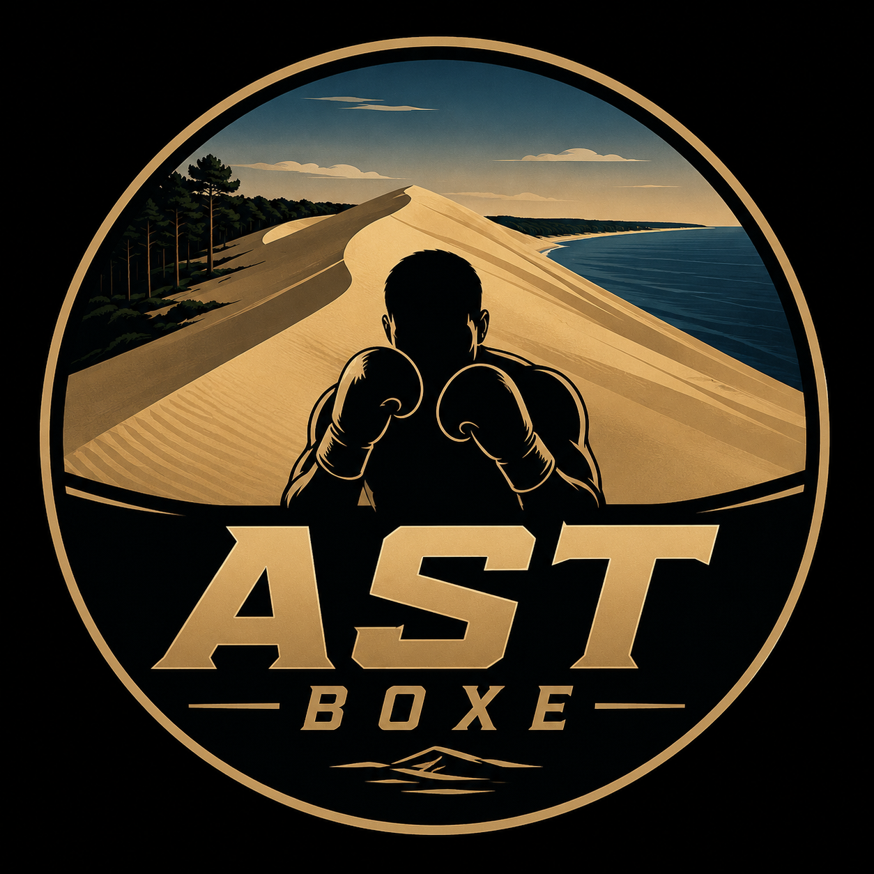 AST Boxe